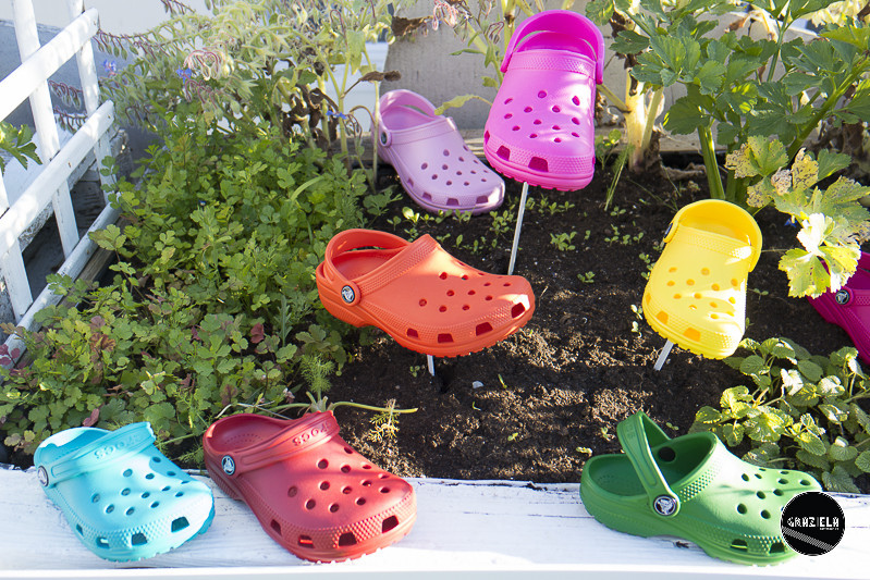 Crocs-1987.jpg Crocs-1987.jpg