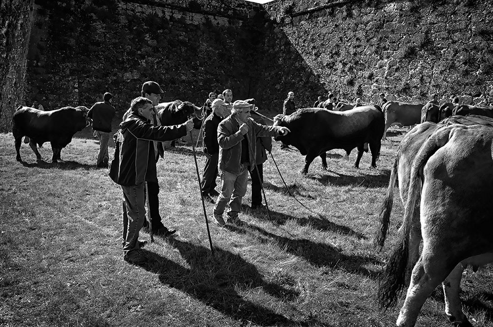 _JMD8509 - Cópia - Cópia.JPG