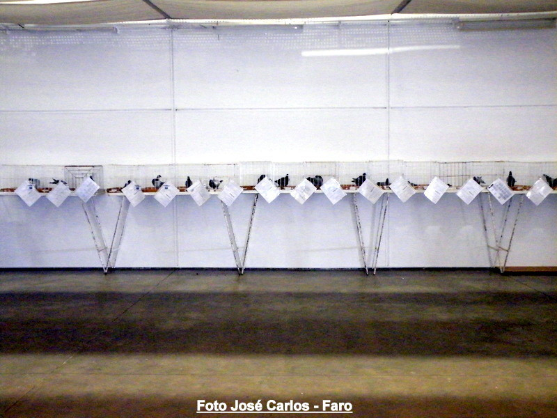 Aljustrel 2017 037.JPG