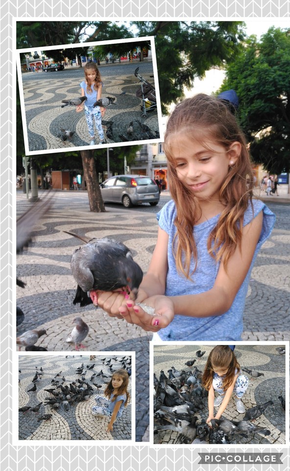 Collage 2017-08-31 22_45_04.jpg