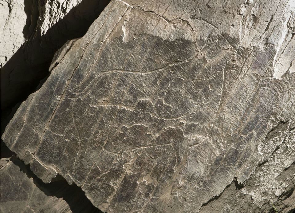 Dia 14.8.jpg Dia 14.8.jpg