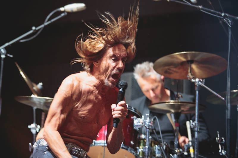 20167161624_Iggypopsbsr2016.jpg