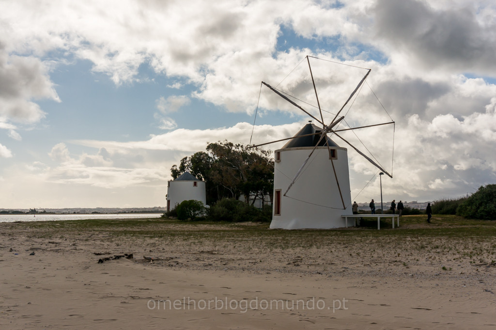 _DSC5542.jpg _DSC5542.jpg