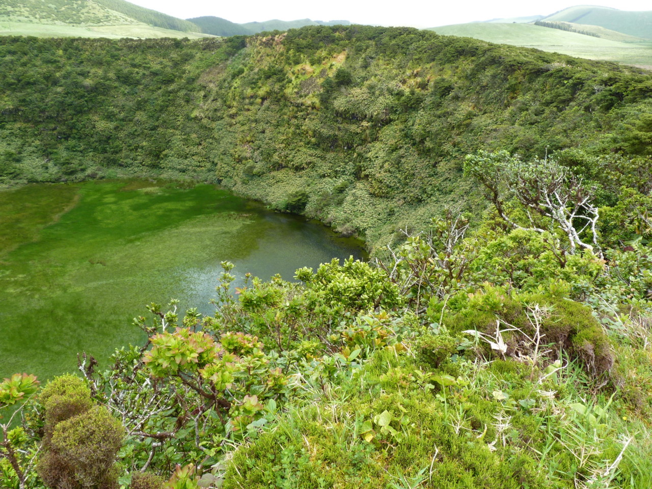 Lagoa Seca, Flores (8).JPG