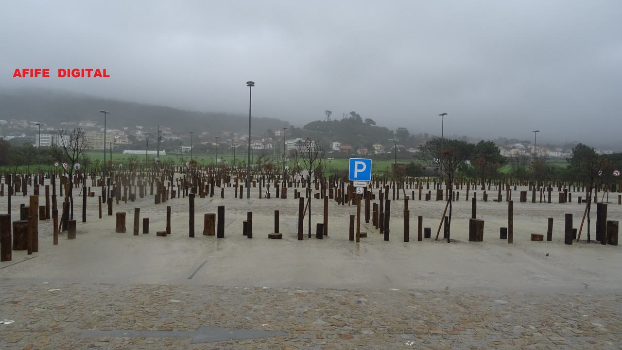 DSC04105.JPG DSC04105.JPG