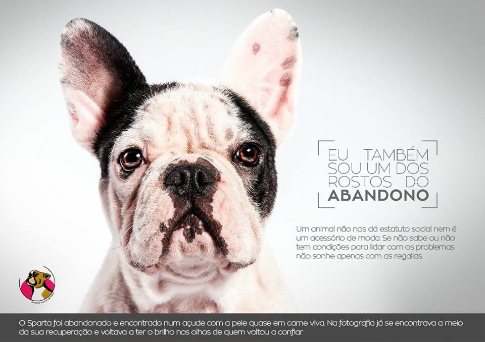 12190127_1013878388676017_5721453607698669594_n.jp