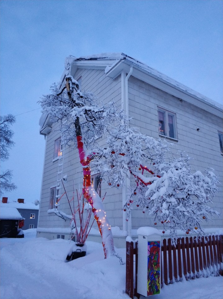Casa e árvore em Kiruna.jpg