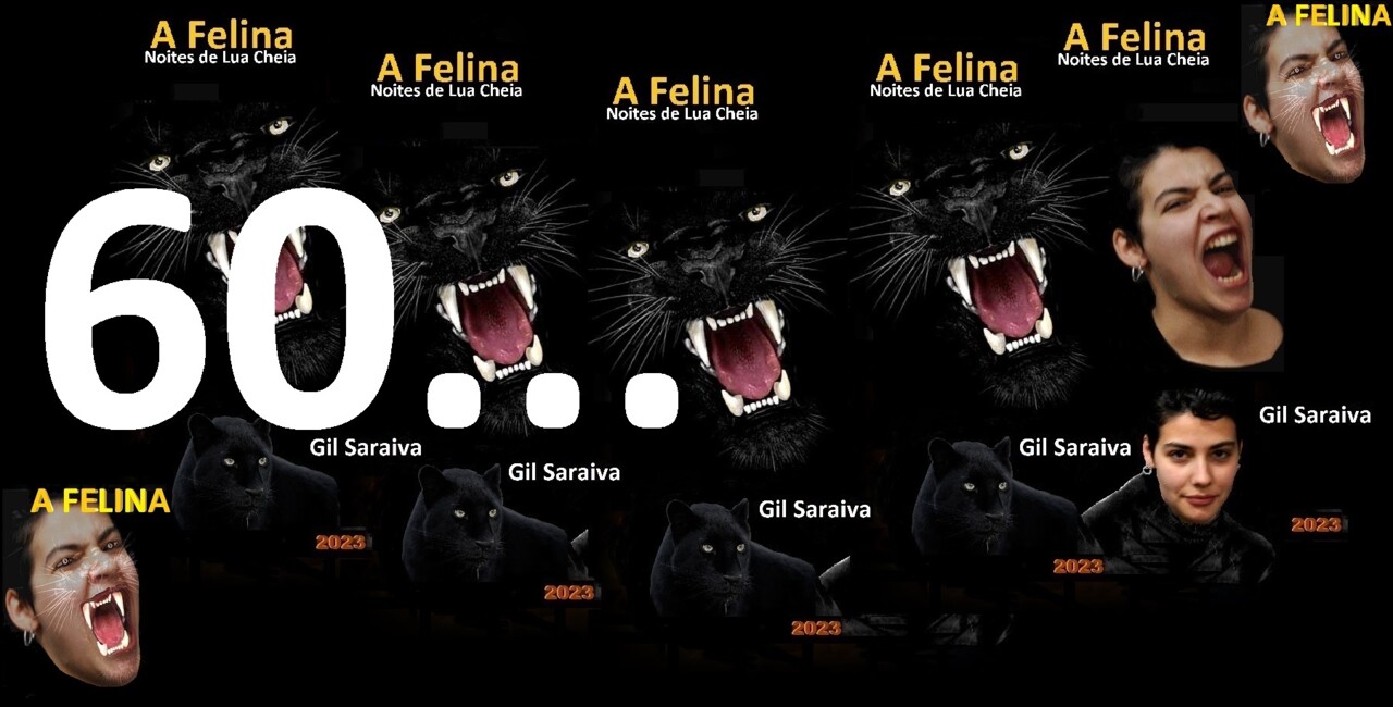A Felina - 60.jpg
