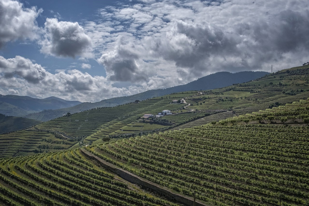 DSCF4190 - cópia.jpg