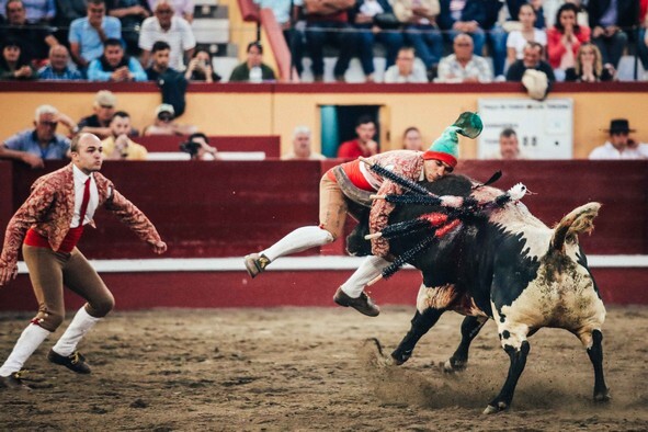 18-Pega de Carlos Vieira dos Forcados da TTT.JPG