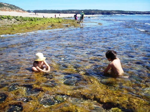 16921740_nQhAS.jpeg 16921740_nQhAS.jpeg