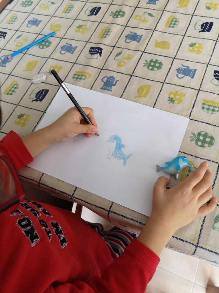 IMG_20201220_124821.jpg IMG_20201220_124821.jpg