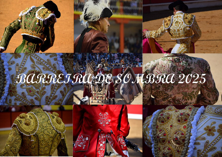 ANÁLISE DA TEMPORADA OS MAIS DESTACADOS.bmp