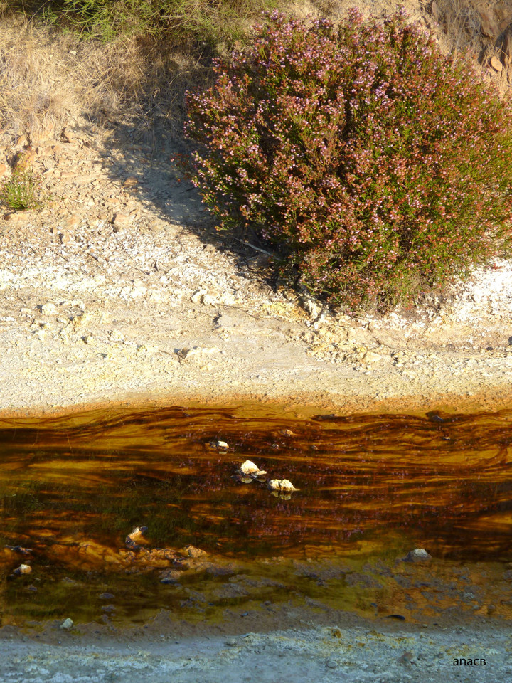 Mina S.Domingos (6).jpg