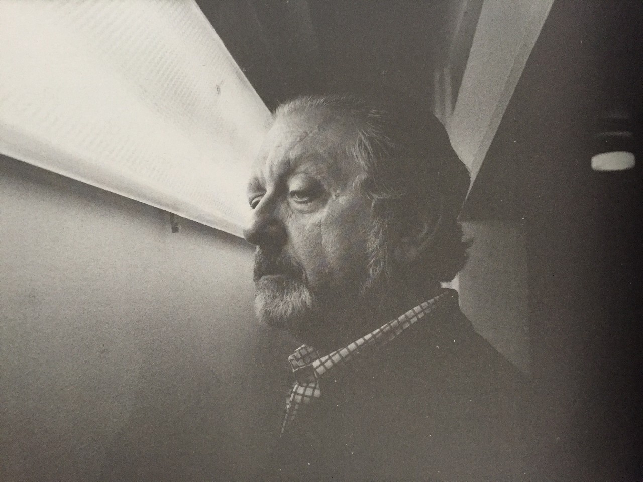 IMG_4849.JPG IMG_4849.JPG