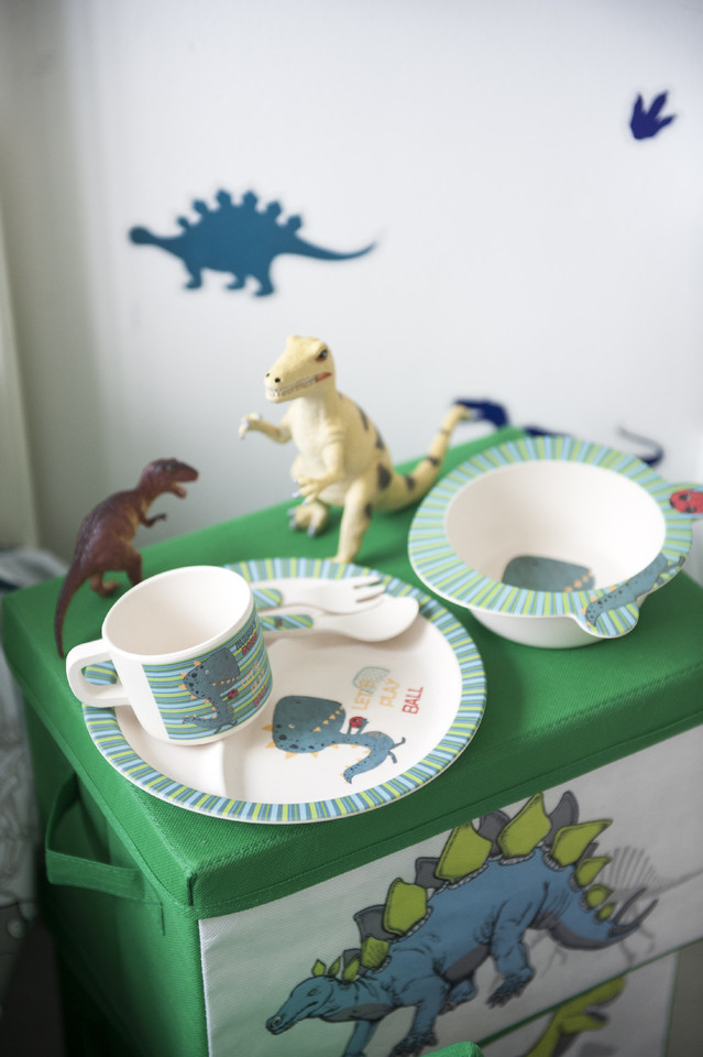 Dino Storage €12 $14.jpg