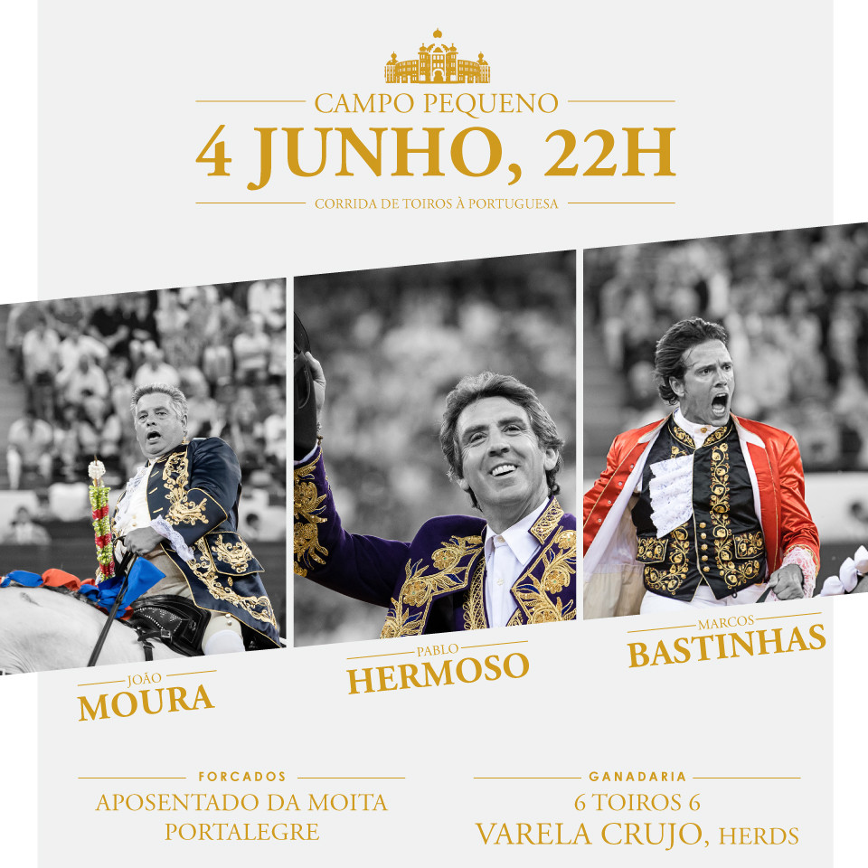 Cavaleiros.jpg Cavaleiros.jpg