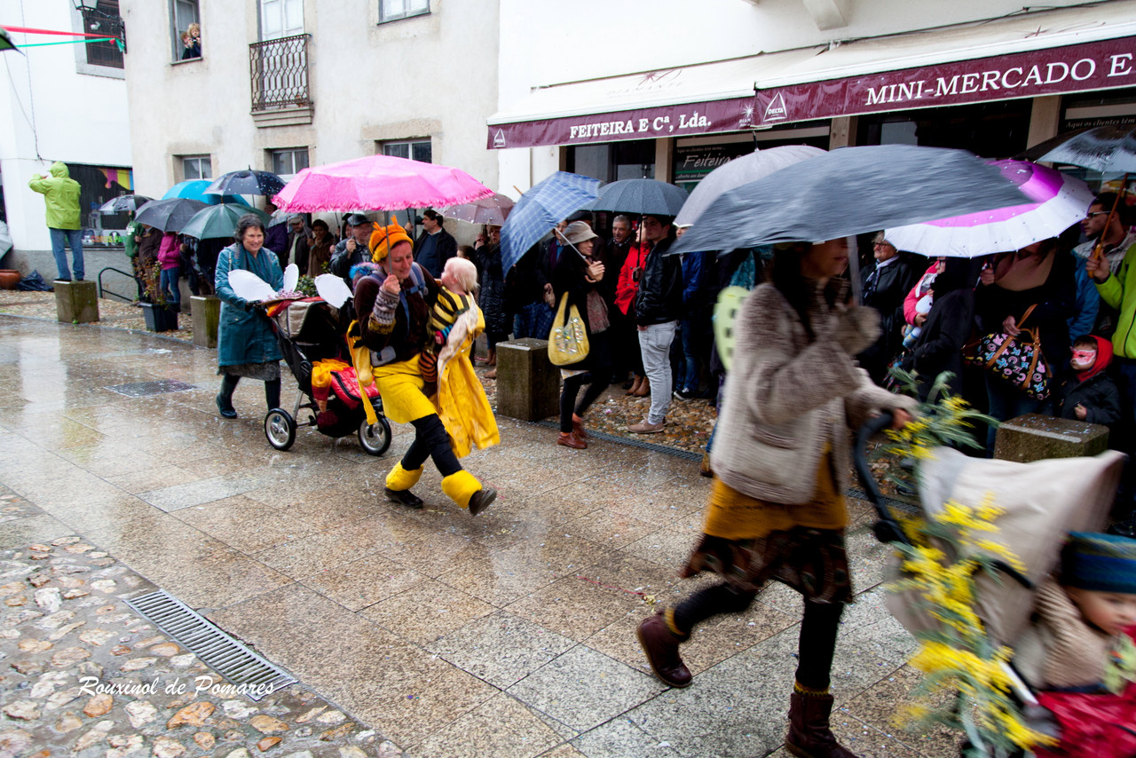 Carnaval de Côja 2016 (20)