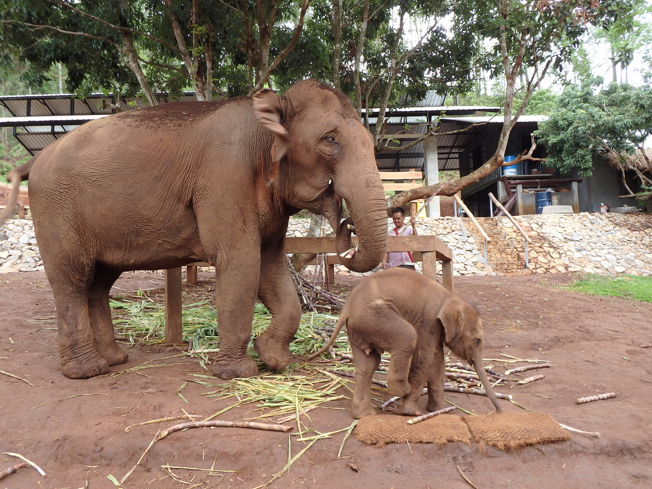 P6103869.JPG P6103869.JPG