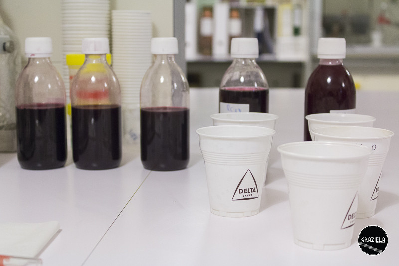 Campo_Maior_Originais-001072.jpg Campo_Maior_Originais-001072.jpg