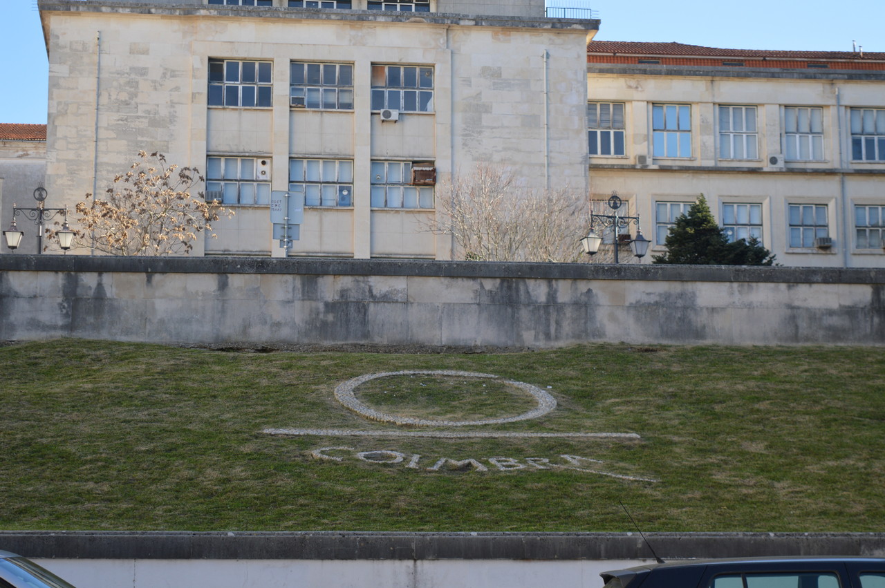 DSC_0246.JPG DSC_0246.JPG