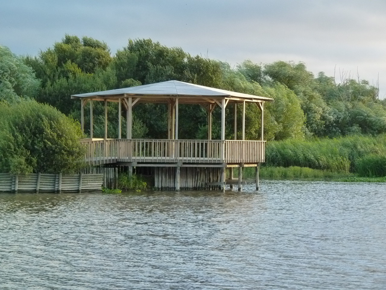 Pateira de Fermentelos (17).JPG