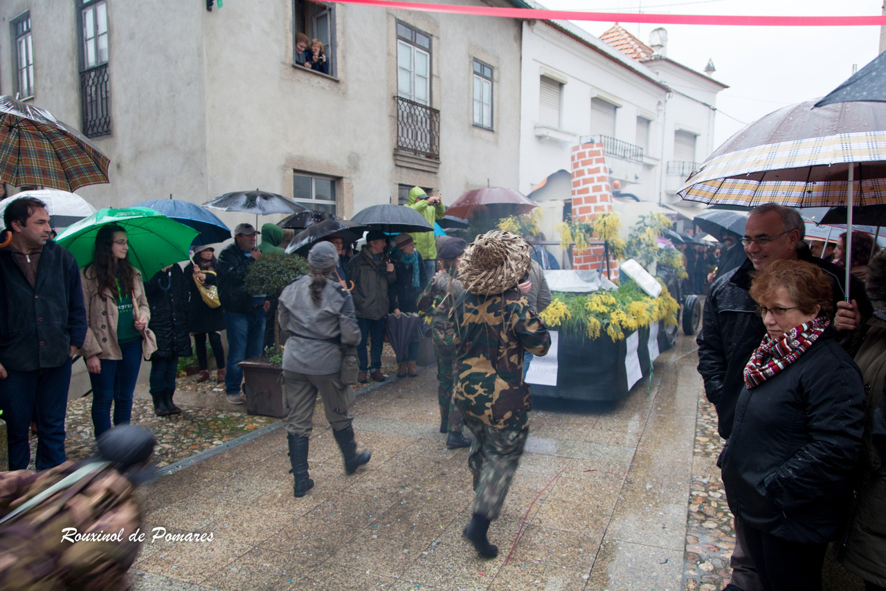 Carnaval de Côja 2016 (25)