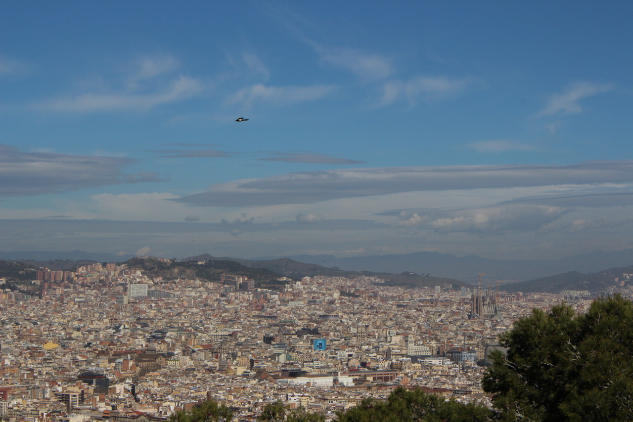 IMG_7729.JPG IMG_7729.JPG