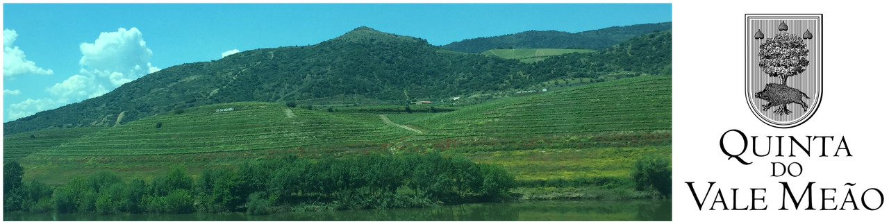Vista da Quinta do Vale Meão a partir do autocarro