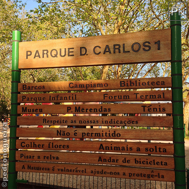 Mai_2018_015 650px.jpg