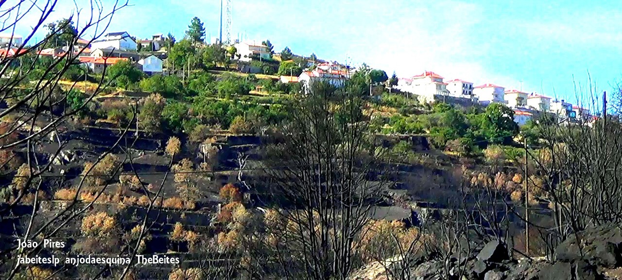 Da Nacional 18     3.jpg