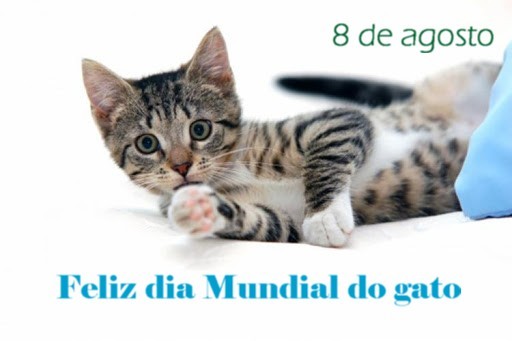 Dia Internacional do Gato – 8 de agosto