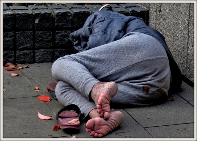 IMG_9463 sem abrigo.jpg