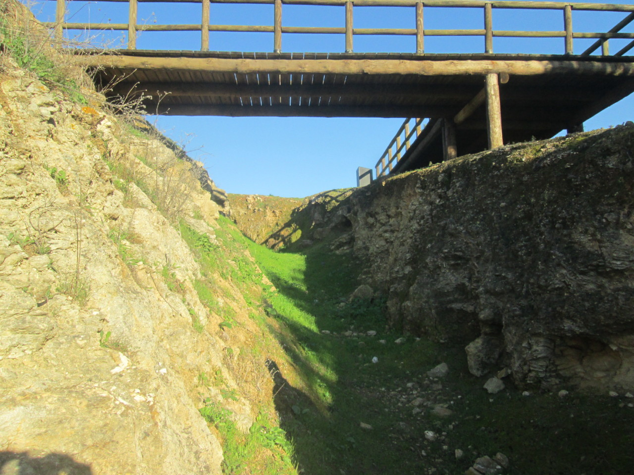 IMG_7262.JPG IMG_7262.JPG