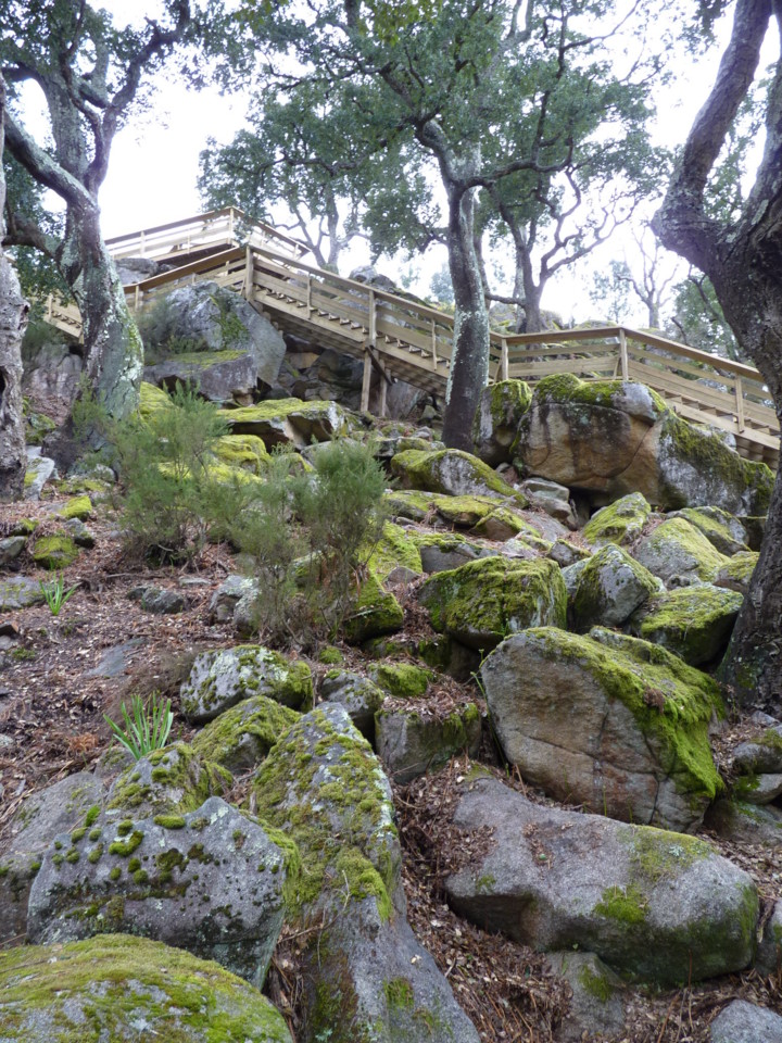 Paiva (1).JPG Paiva (1).JPG