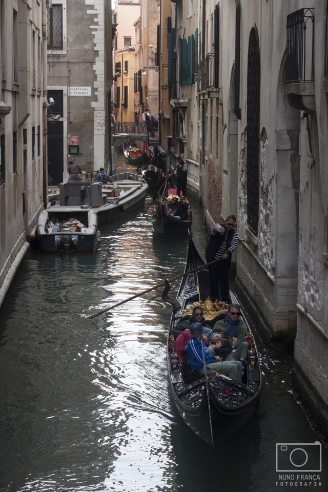 IMG_5529_net.jpg IMG_5529_net.jpg