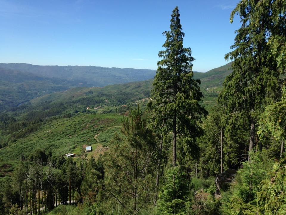 13466541_1228667927150948_1501796885843214053_n.jp