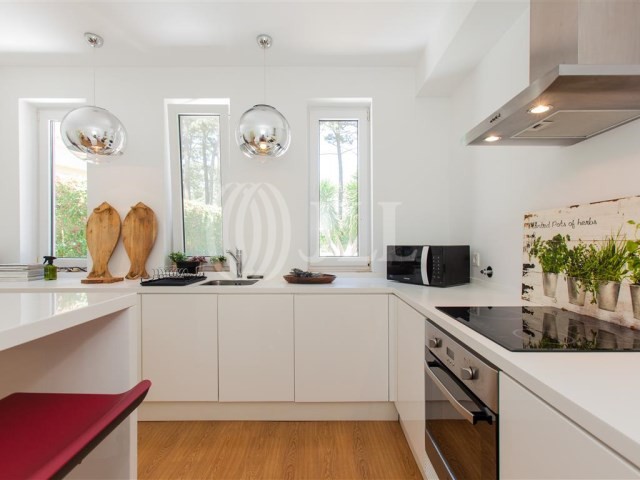 aroeira11.jpg aroeira11.jpg