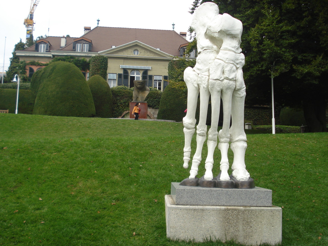 DSC09967.JPG DSC09967.JPG