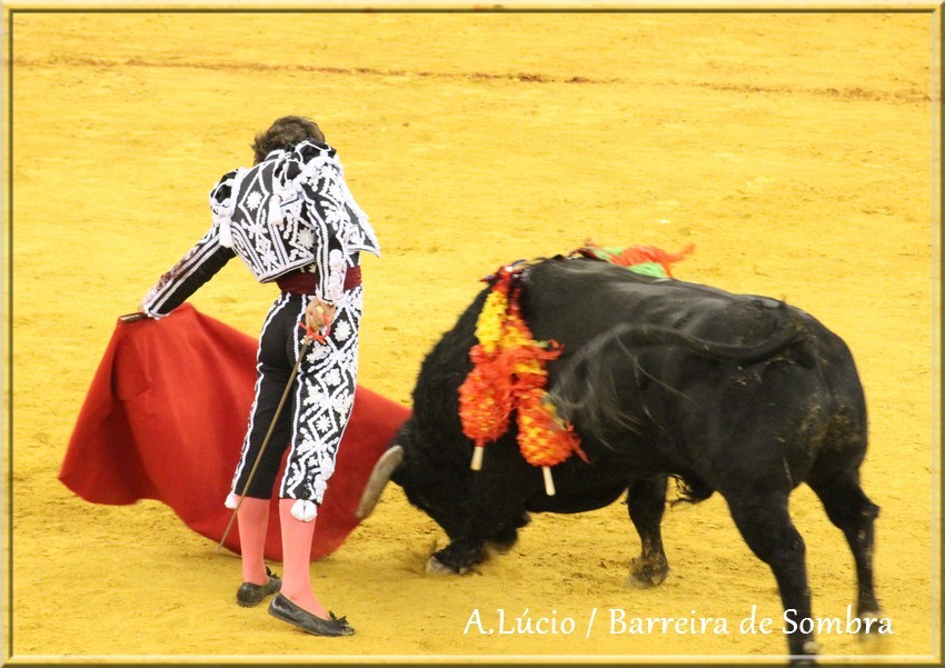 IMG_6736.JPG IMG_6736.JPG