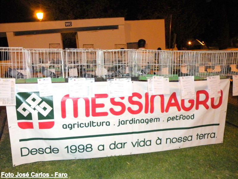 Leilão de Paderne 2016 005.JPG