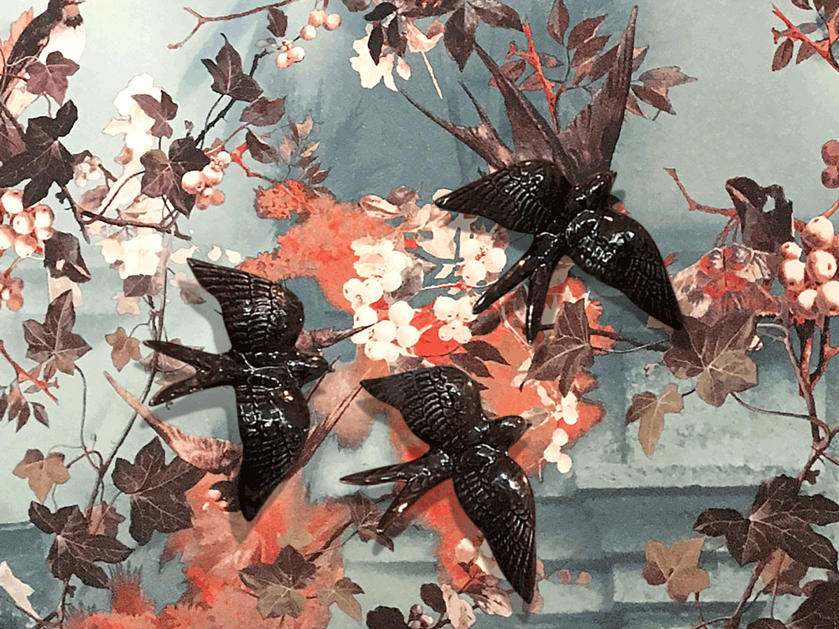 image001.gif image001.gif