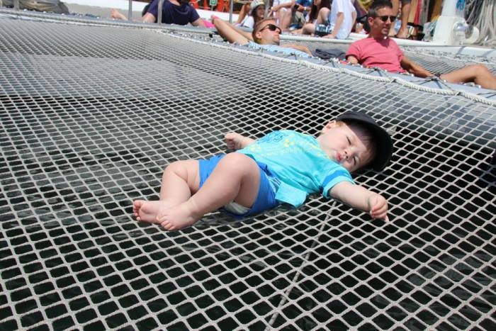 13439192_1266876066656333_2971871884802497434_n.jp