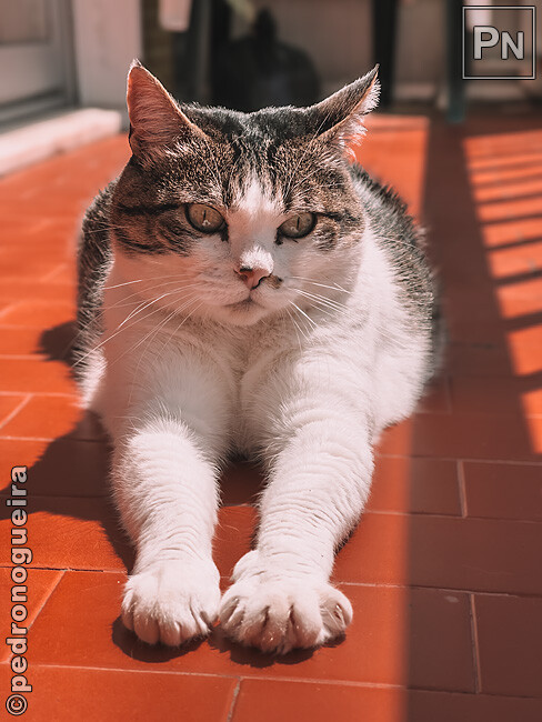 Abr_2025_034 650px.jpg