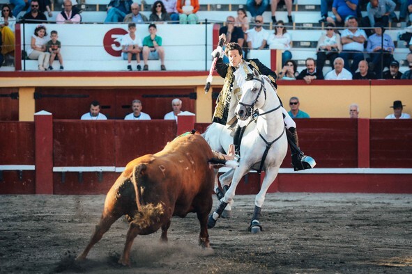8- Ferro de Marcos Bastinhas ao 3º toiro da tarde