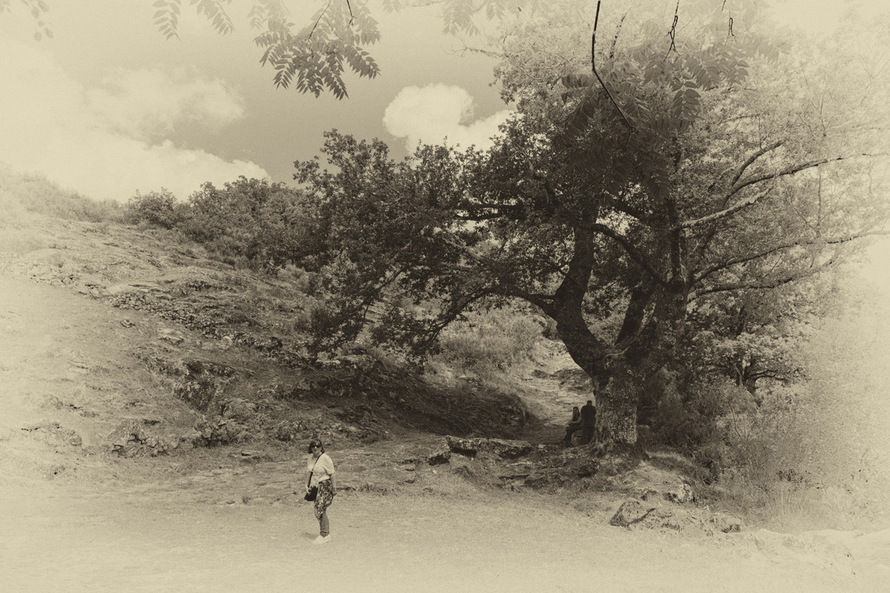 DSCF6810 - cópia copy.jpg