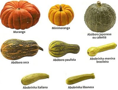 ABOBORAS.jpg ABOBORAS.jpg