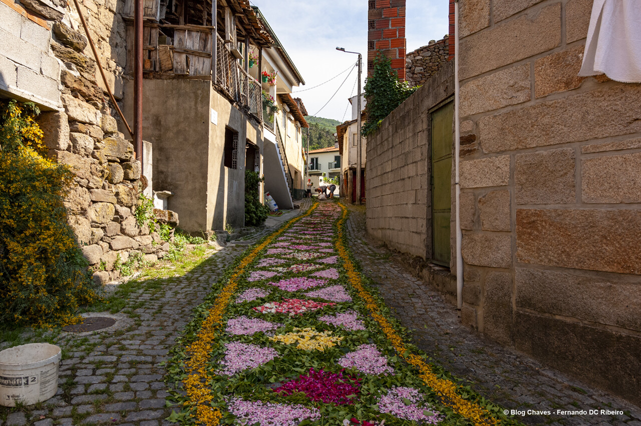 1600-corpo-deus-15 (17).jpg