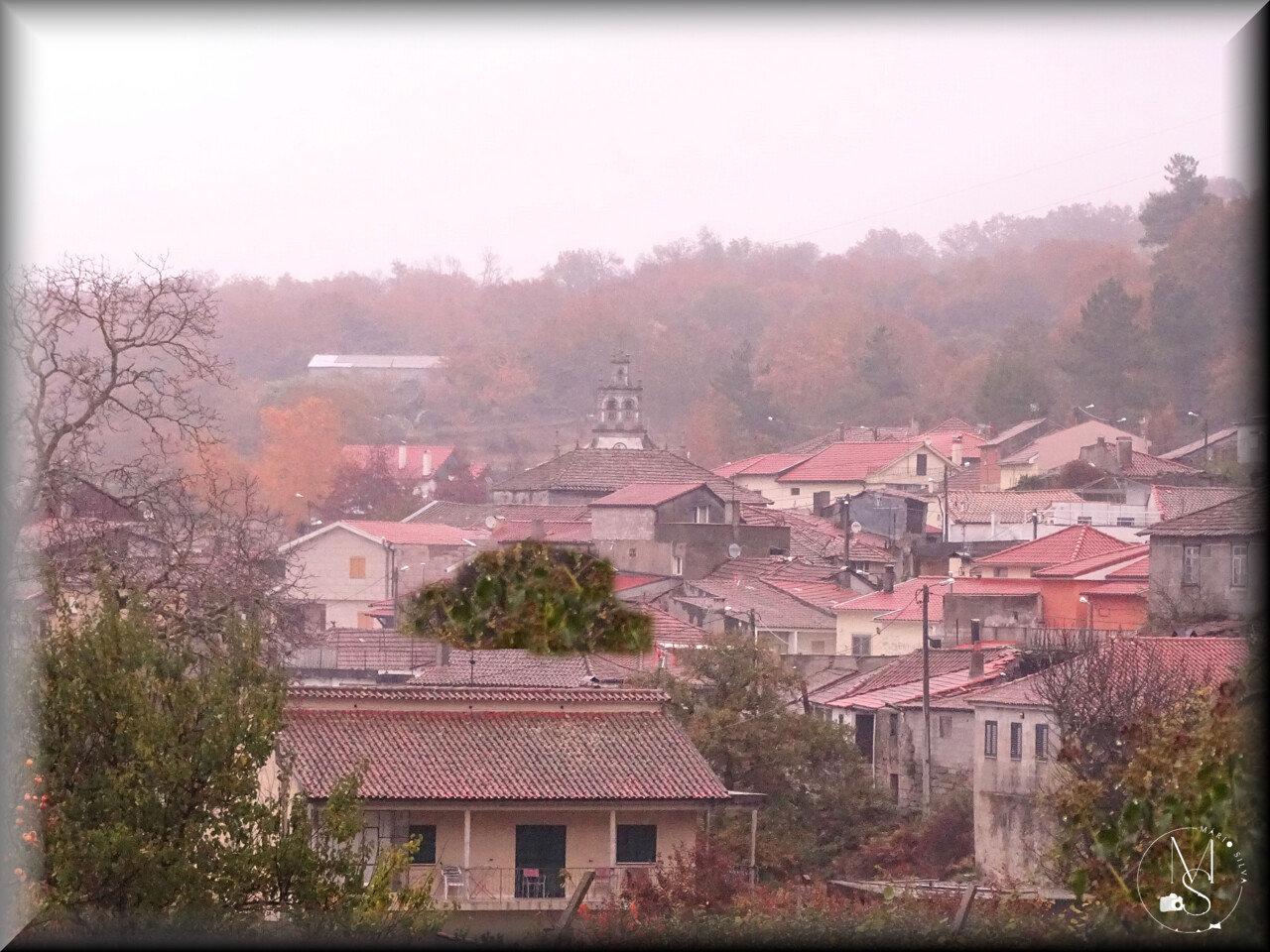 22Dez DSC05769_ms.JPG