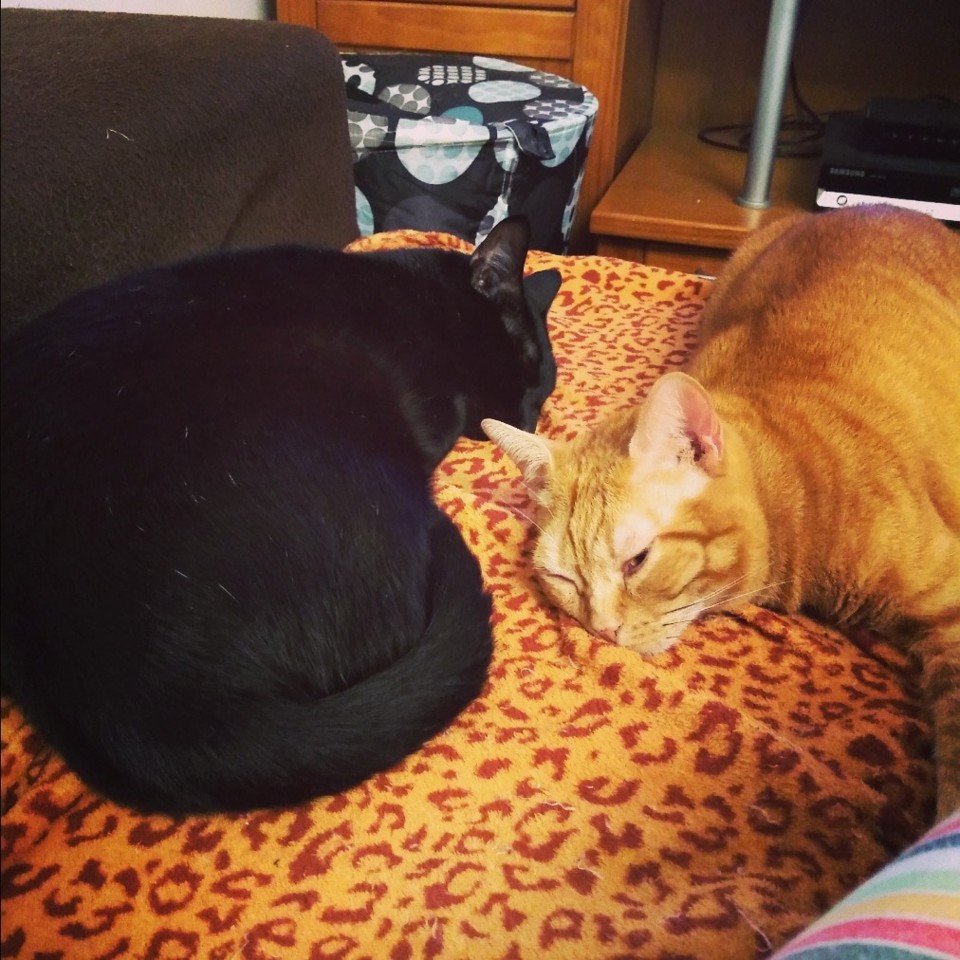 IMG_20191027_210816_840.jpg IMG_20191027_210816_840.jpg